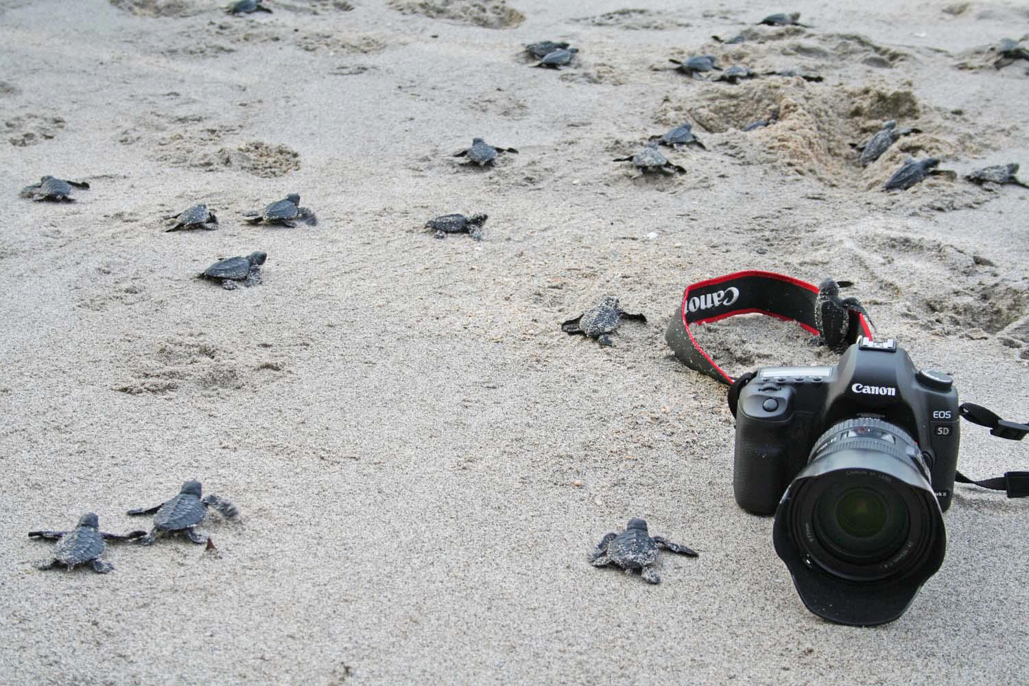 ang pahayagan a local news within zambales and central luzon area