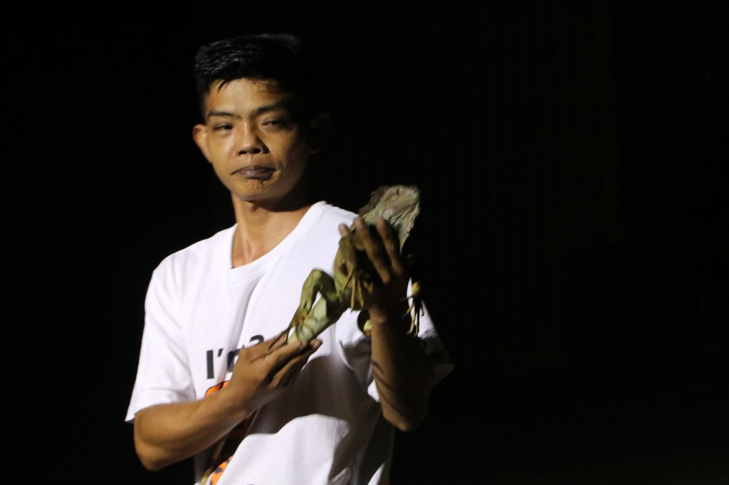 Experience night safari at Zoobic