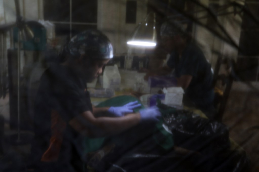 Local animal shelter collabs with animal care groups to help neuter 218 strays, pets in&nbsp;SBF