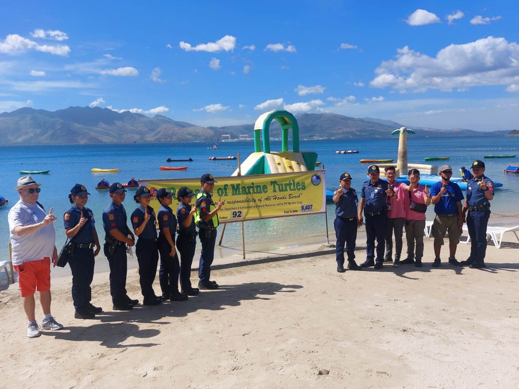 Releasing of marine&nbsp;turtles