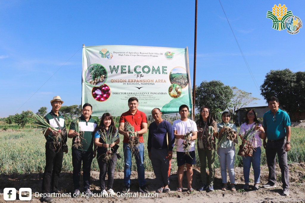 DA Central Luzon holds Onion Harvest&nbsp;Festival