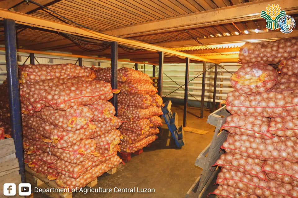 DA, binisita ang mga magsisibuyas sa Pampanga upang alamin ang kanilang&nbsp;produksiyon