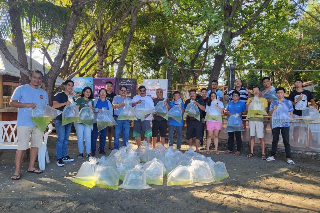 Karagdagang blue swimming crabs pinakawalan sa&nbsp;Zambales