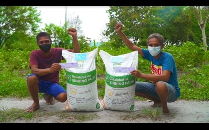 Zambales farmers credit rice seed program for higher&nbsp;yields