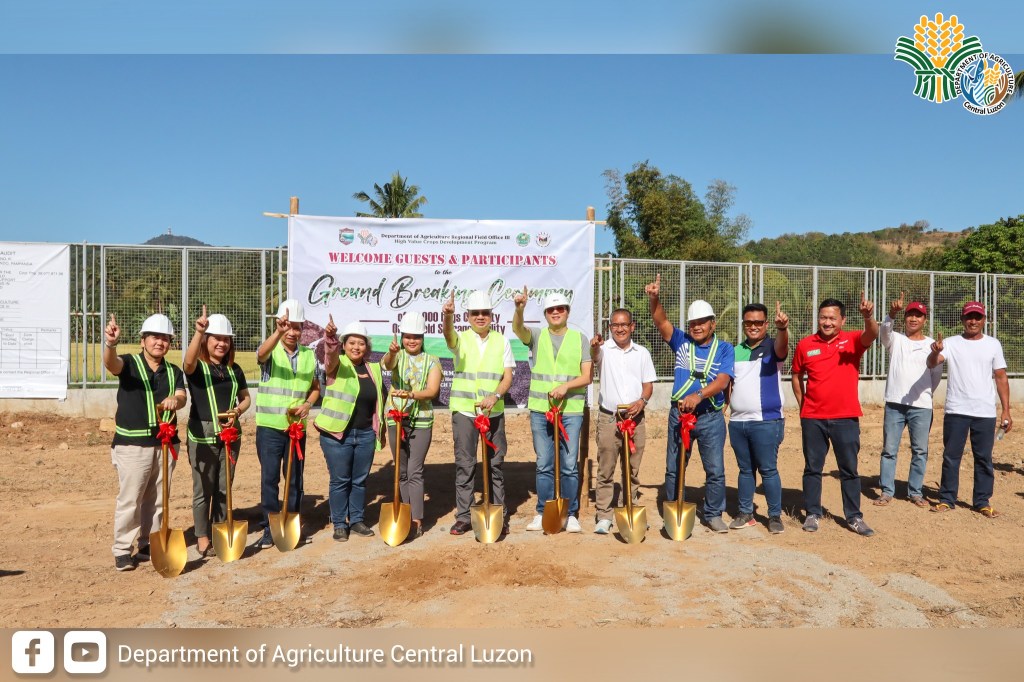 20,000 bags capacity onion cold storage,&nbsp;itatayo