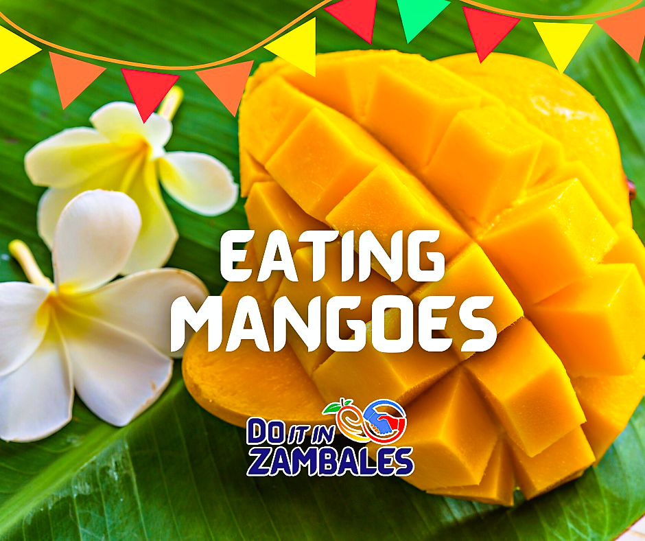 Zambales prepares for biggest mango festival&nbsp;yet