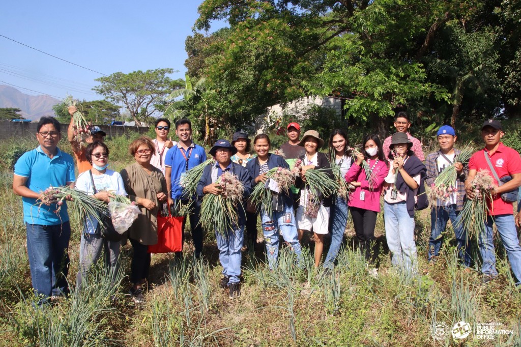 Kauna-unahang Onion Harvest Fest sa San Marcelino,&nbsp;idinaos