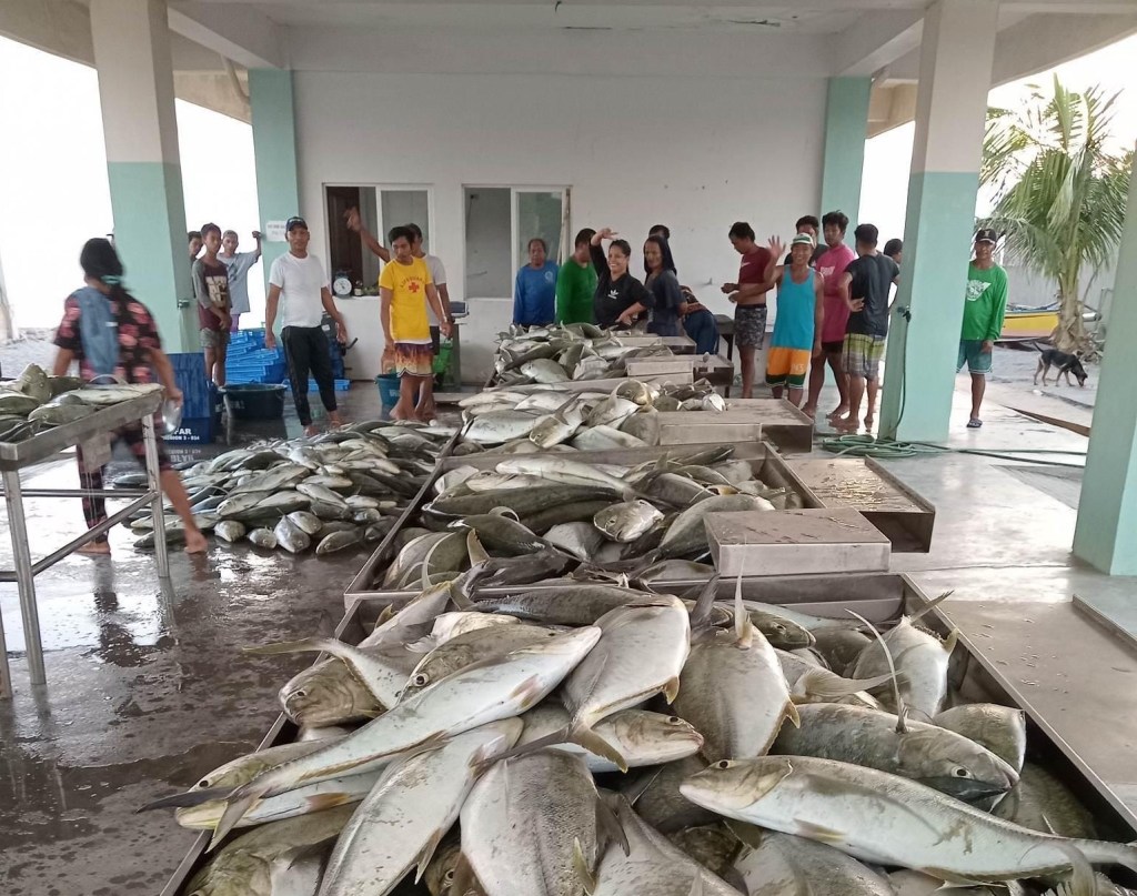Huling isda sa Zambales sa ilalim ng Lambaklad Project&nbsp;dumami