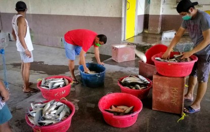 DA-BFAR program to boost ‘bangus’ industry in C.&nbsp;Luzon