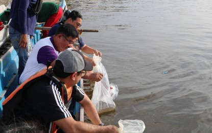 BFAR repopulates Tarlac, Pampanga rivers with 120K&nbsp;fingerlings