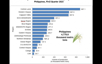 C. Luzon remains PH’s top palay producer in&nbsp;Q1