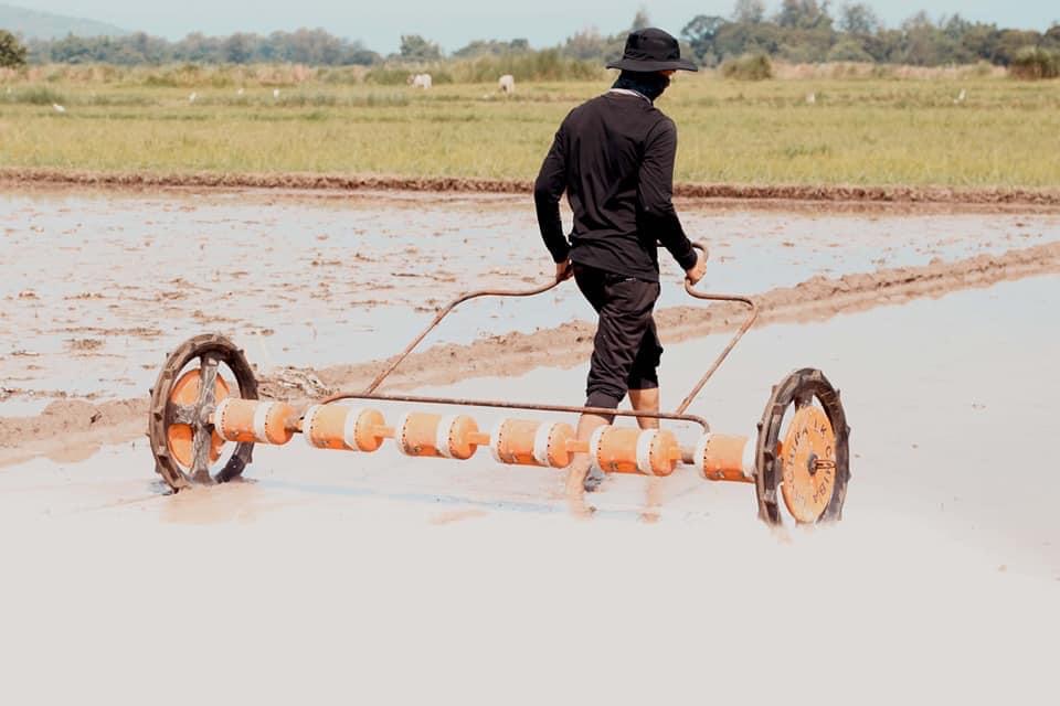 Crop Establishment Technology Demonstration, isinagawa ng PhilRice sa San&nbsp;Marcelino