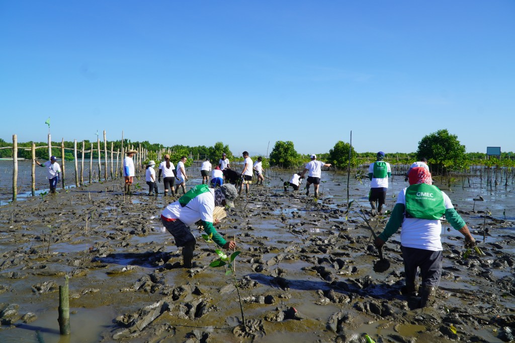 GMEC continues its P7M-worth of mangrove adoption and protection&nbsp;initiative