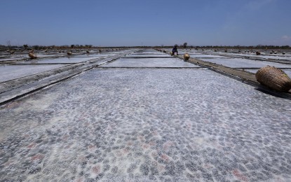 PH seen to be self-sufficient with revival of salt&nbsp;industry