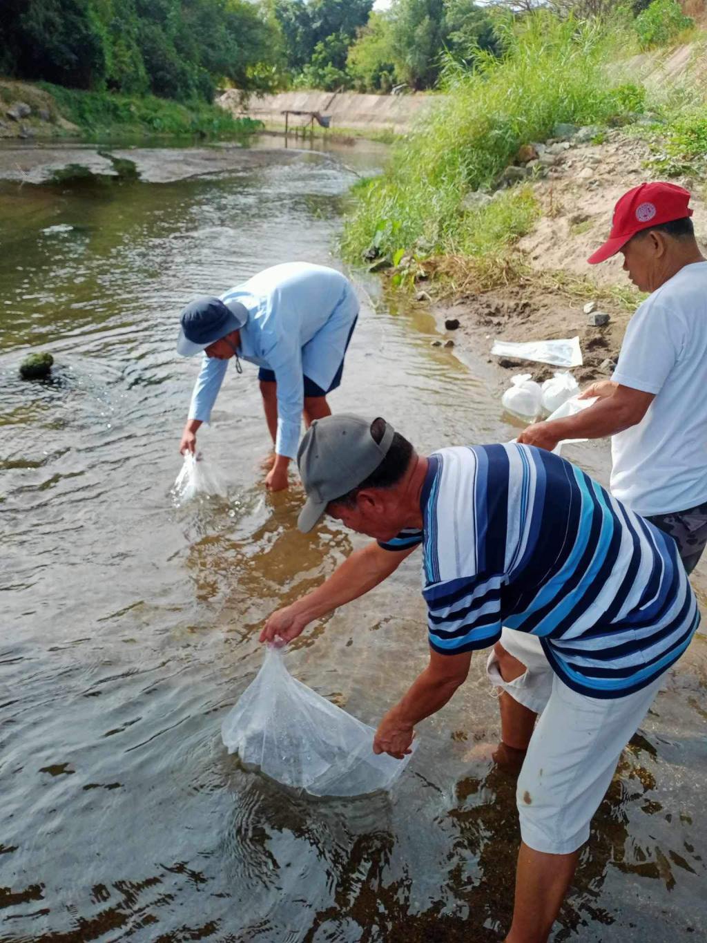 Balik Sigla sa Ilog at Lawa