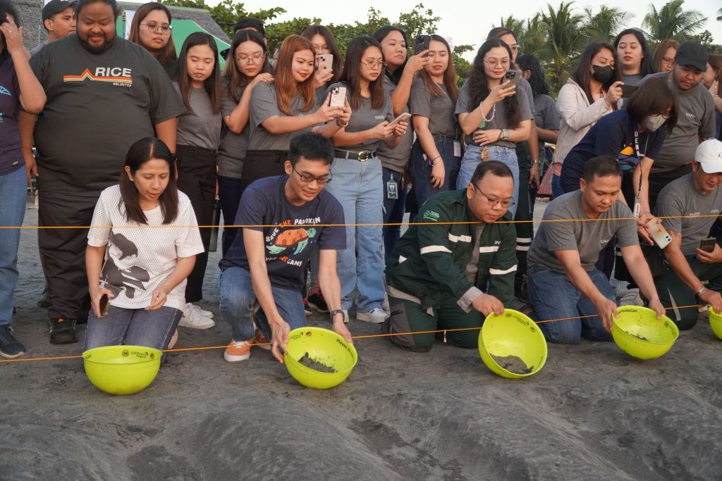 From Nest to Sea: GNPD leads Grand Release of Pawikan Hatchlings in&nbsp;Bataan