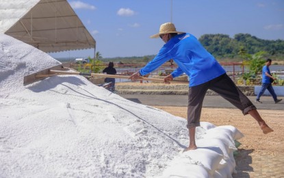 DENR to map public lands, municipal waters suitable for salt&nbsp;farming