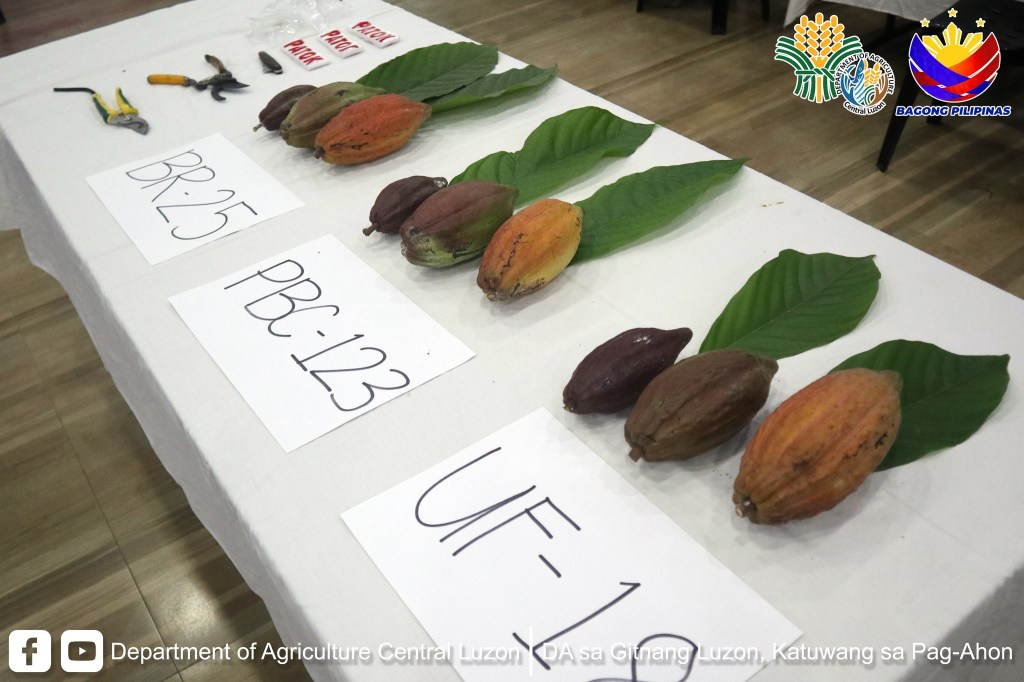 BPI information caravan, isinagawa sa Gitnang&nbsp;Luzon