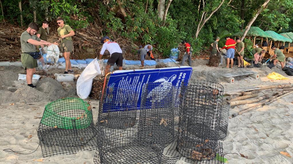 Turtle nesting site restoration and beach&nbsp;clean-up