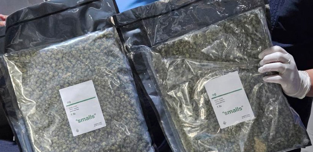 BOC-Clark Confiscates PhP1.5 Million Worth of High-Grade Kush&nbsp;Marijuana