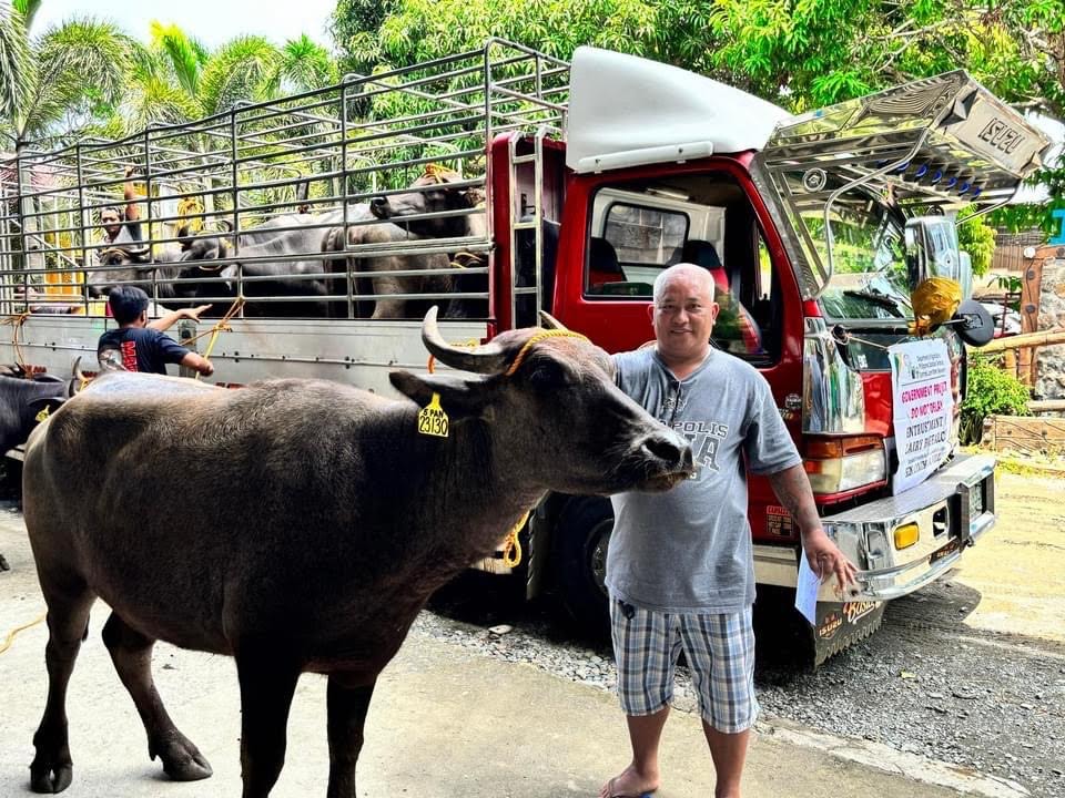 Masinloc farmers receive pregnant buffaloes from&nbsp;PCC