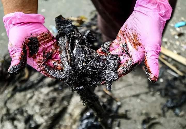 Alternative livelihood for fisherfolk affected by oil spill&nbsp;sought