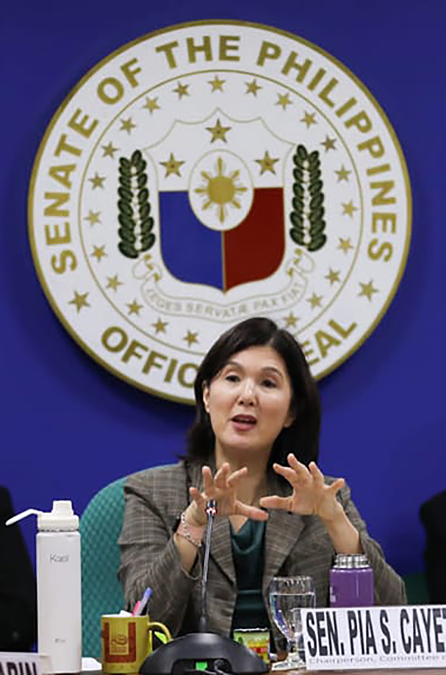 Senate Blue Ribbon Committee, iimbestigahan ang war on drugs