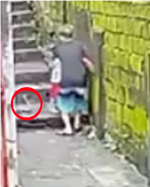 Paslit ligtas sa atake ng&nbsp;ahas