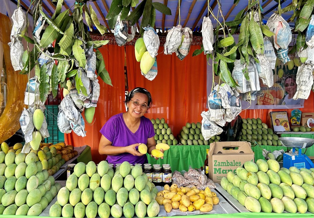 Zambales sets P50-M for ‘Green Mango Valley’&nbsp;project