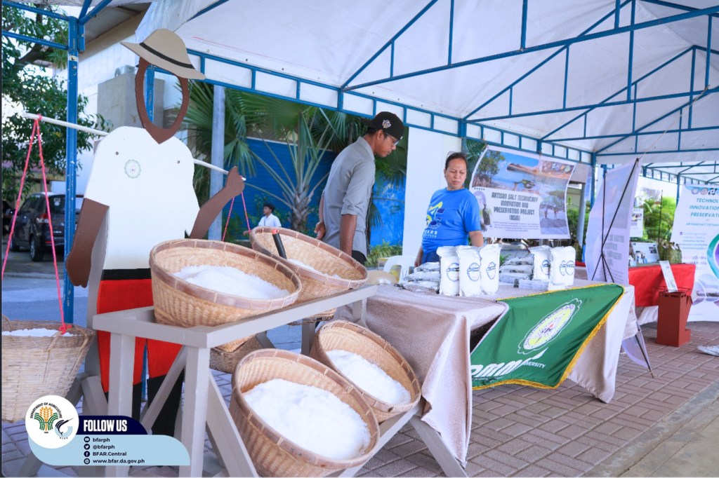 Salt industry players gathered for the 2nd Salt&nbsp;Congress