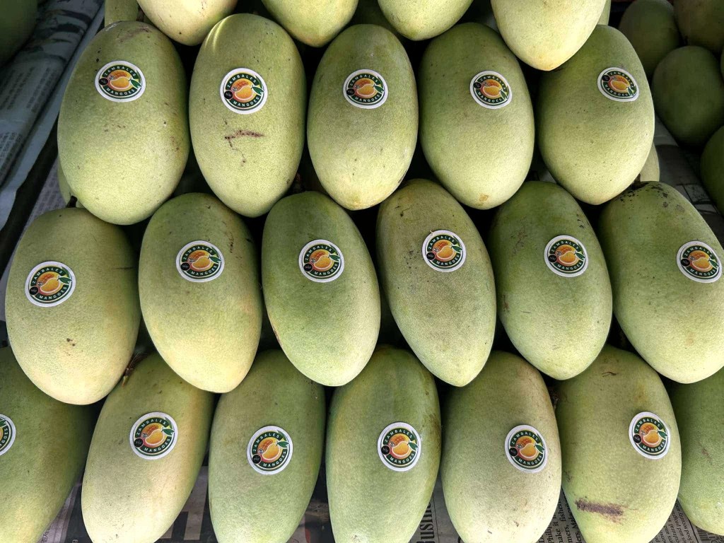 Gov. Ebdane: Product dev’t ongoing to boost Zambales mango&nbsp;industry