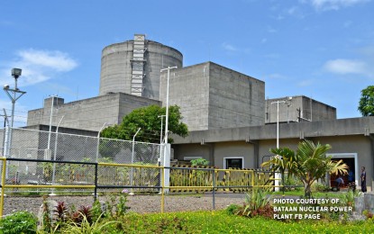 PNRI, advocacy group bat for nuclear energy, BNPP&nbsp;revival