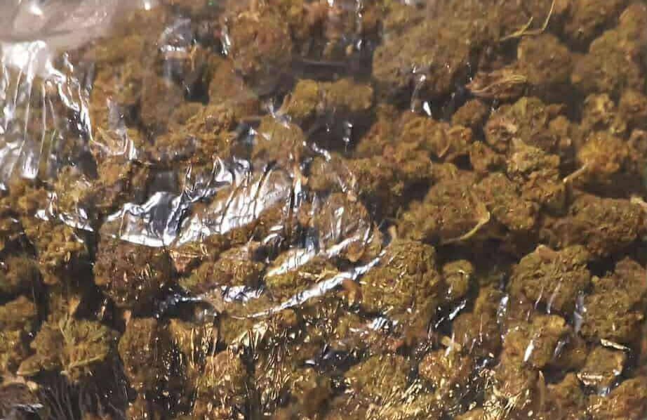 700K halaga ng kush naharang sa Port of&nbsp;Clark