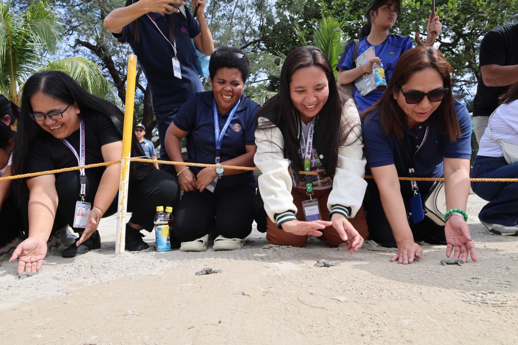 Back to the&nbsp;sea