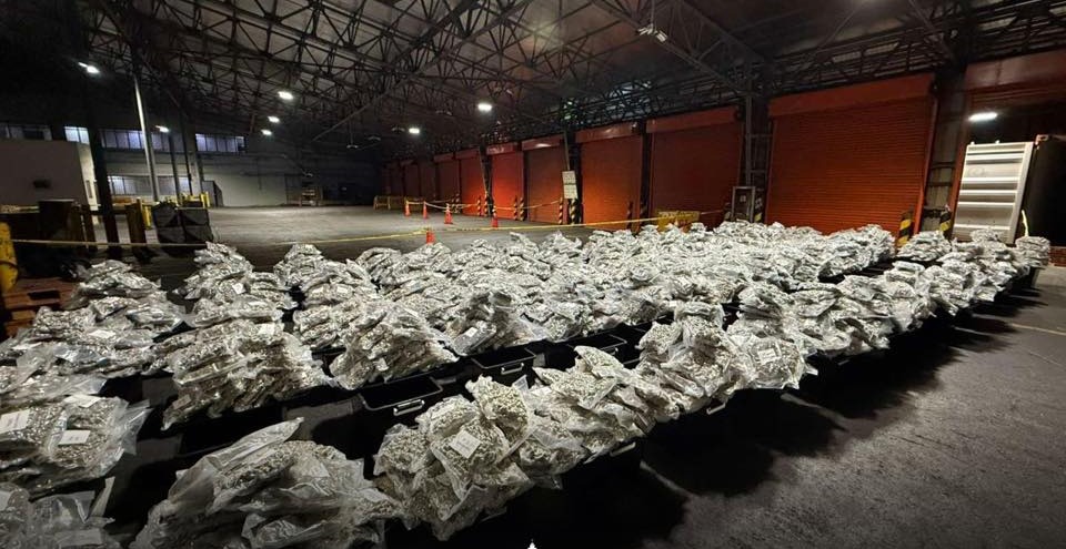 BOC, PDEA Prevent Entry of 800 kg of Marijuana Valued at ₱1.2 Billion