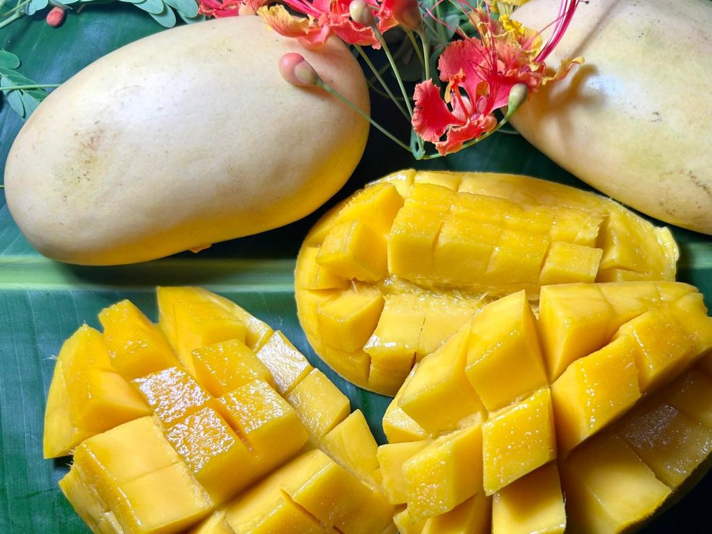 Colorful mango festival spotlights Zambales&nbsp;summer