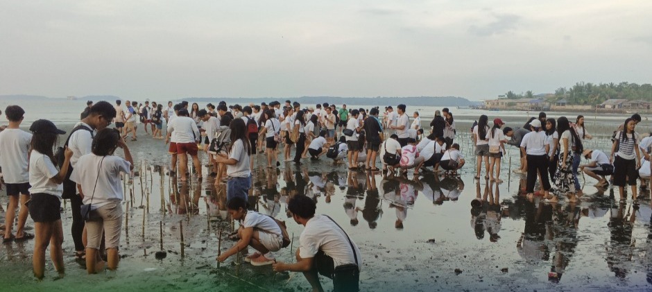 DENR rehabilitates mangrove area in&nbsp;Zambales