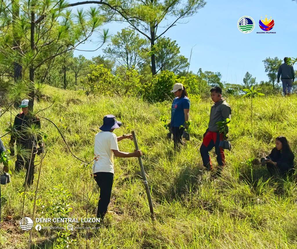 DENR PARTNERS RESTORE FORESTLAND AFFECTED BY FOREST&nbsp;FIRE