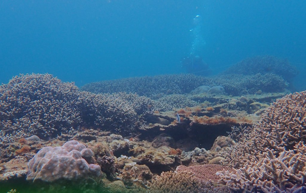 Two new marine protected areas strengthen Zambales conservation&nbsp;network