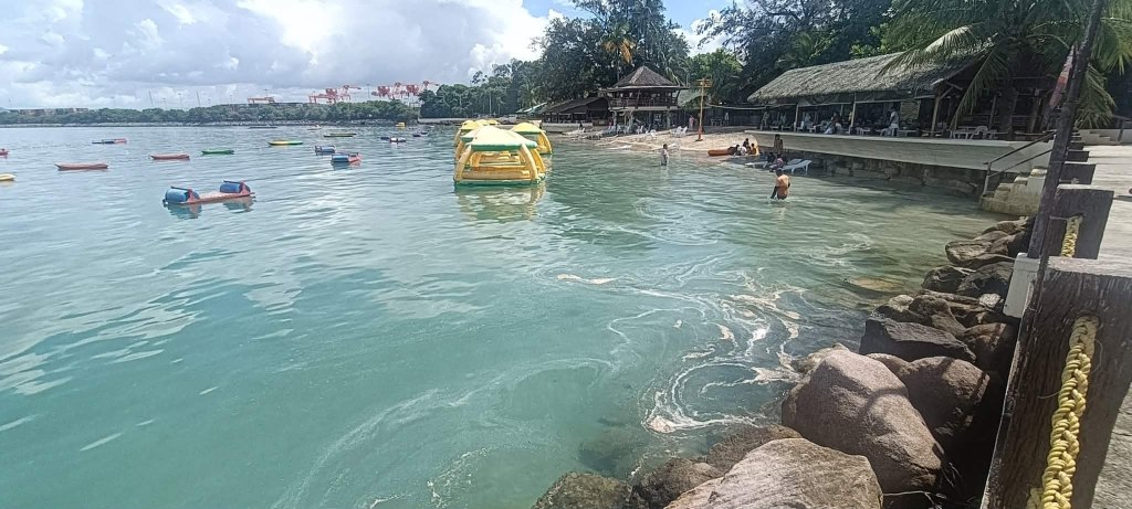 MABAHONG LIKIDO SA DALAMPASIGAN NG ALL HANDS BEACH RESORT IKINABAHALA