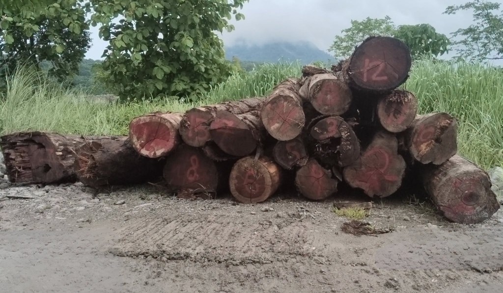 DENR donates logs to DepEd for school facility&nbsp;improvement