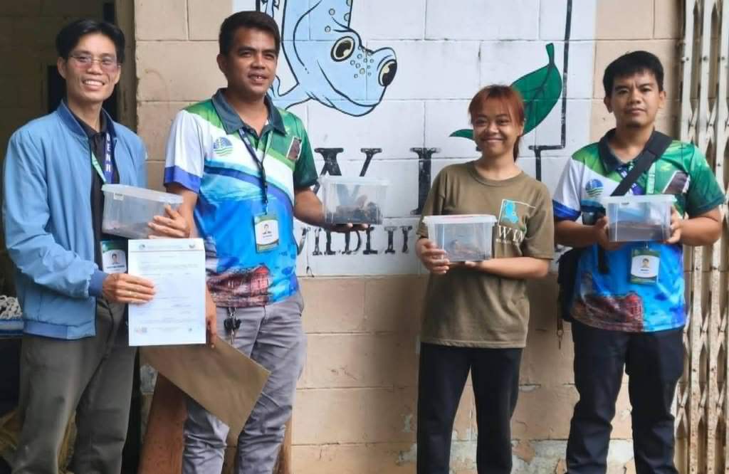 DENR, Maritime Group ensure proper handling of rescued&nbsp;tarantulas