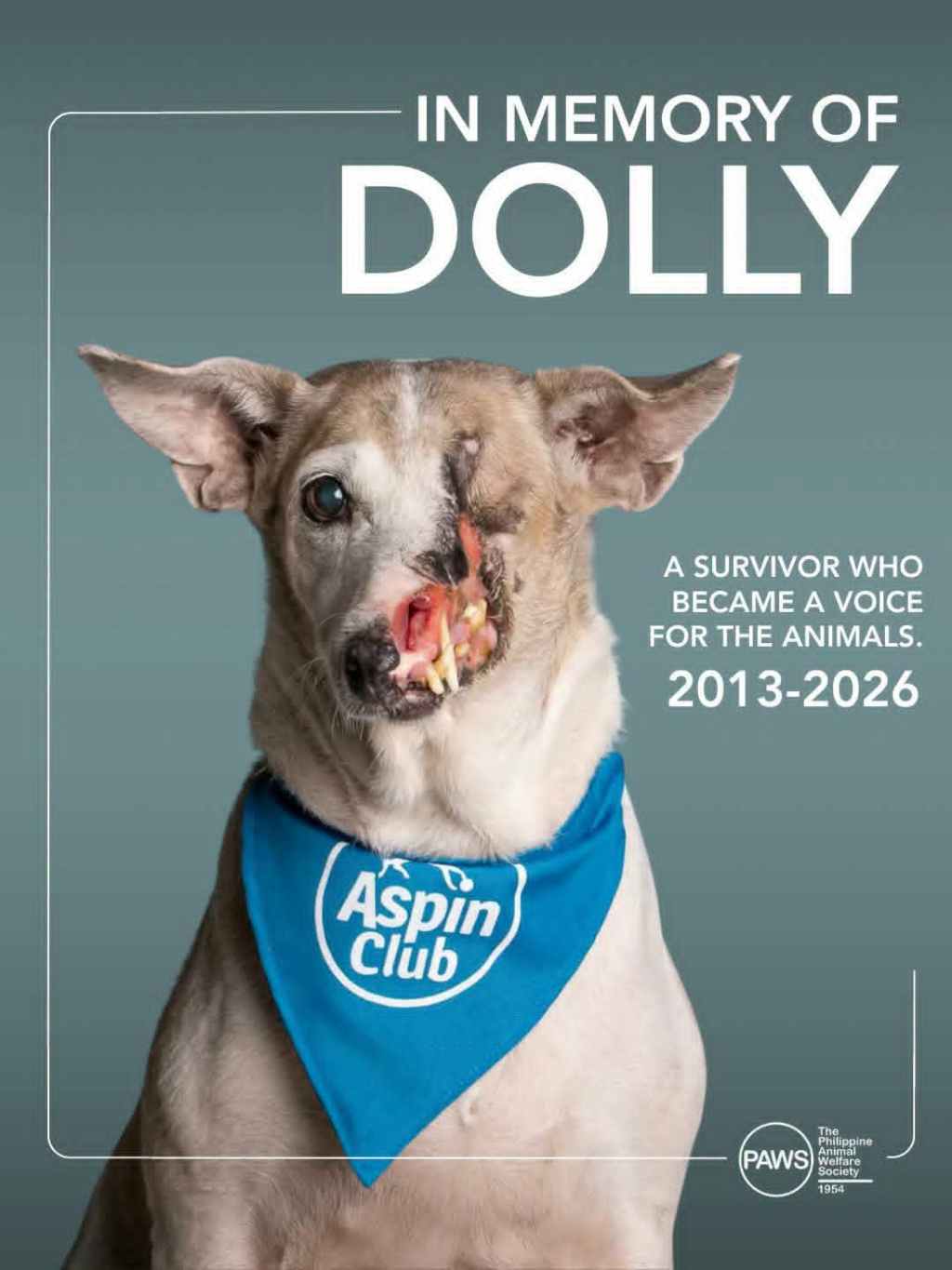 PAWS Nagluksa sa Pagpanaw ni Dolly, ‘Half-faced Dog’ at Animal Welfare&nbsp;Ambassador