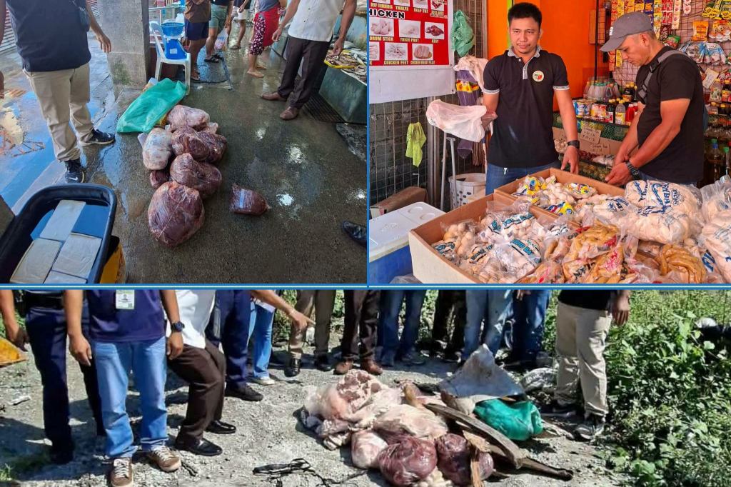 90.6 KILOS OF FROZEN, PROCESSED MEAT SEIZED IN MARIA&nbsp;AURORA