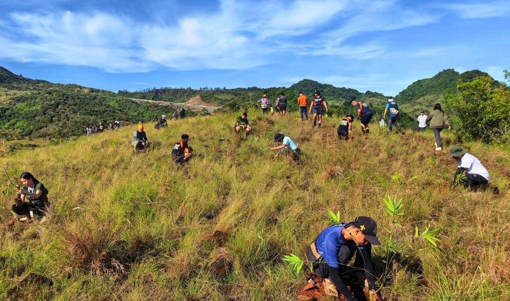 DENR Plants 2,200 Bamboo to Support Forest Restoration
